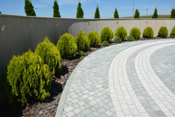 Best Professional Driveway Pavers  in Lakeside, VA