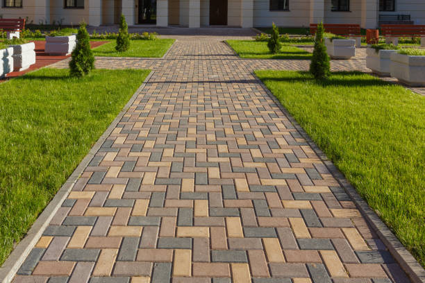 Best Driveway Paving Contractor  in Lakeside, VA